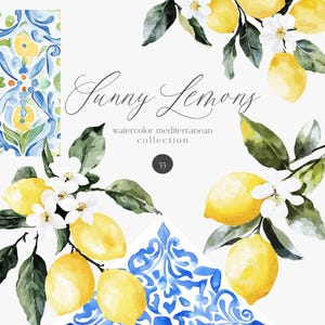 Clipart acquerello mediterraneo, frutto di limone, fiore di limone, motivi mediterranei senza soluzione di continuità, ramoscello di limone in fiore, clipart matrimonio estivo