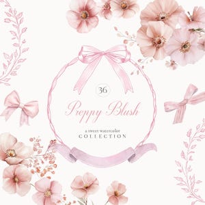 Wilde Blumen & Kokette Clipart, Rosa Bänder, Blush Wildblumen, Bögen, Aquarell Bandrahmen, Vintage Wappen, Aquarell Wildblumen