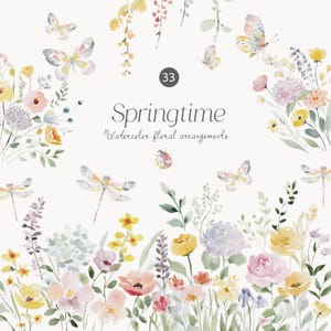 Puede incluir: Ilustración en acuarela de arreglos florales con mariposas, libélulas y una mariquita. La imagen presenta flores en tonos amarillos, rosas y morados, con la palabra "Springtime" y el número "33".