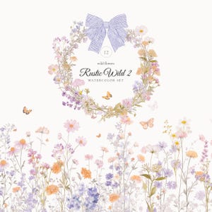Rustikales Wild, Aquarell Blumenset, Wiese Wildblumen Grenzen, Kränze, Wildblumensträuße, rustikale Coquette Clipart, Hochzeit Clipart