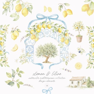 Watercolor Lemon Clipart: Mediterranean Fruit & Blossom (Digital Download) image 1