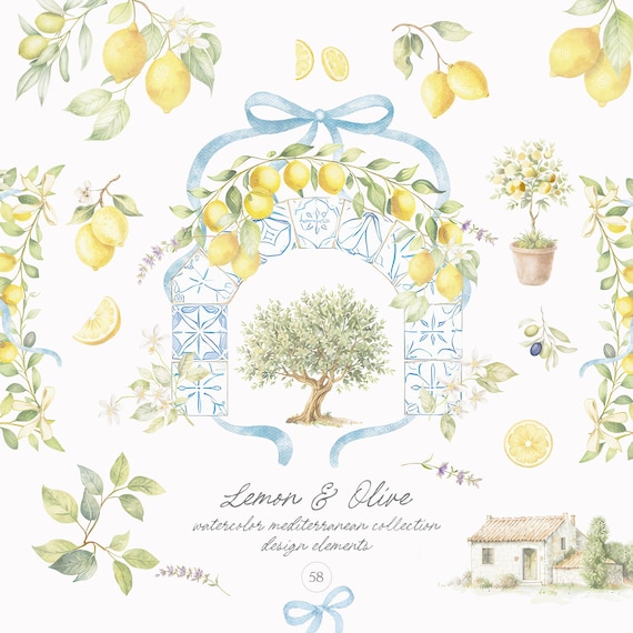 Watercolor Lemon Clipart: Mediterranean Fruit & Blossom (Digital Download)