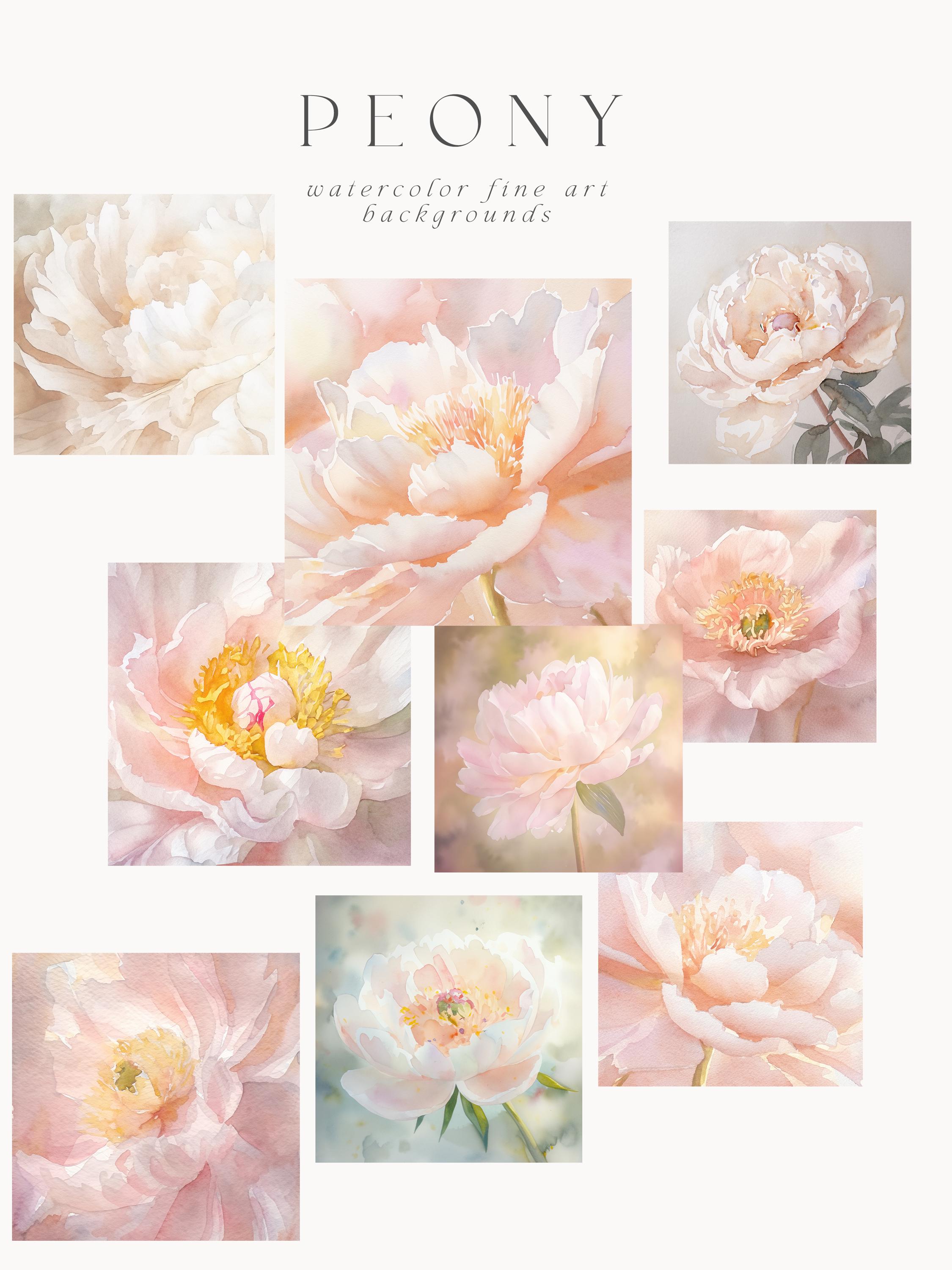 Blush Peony Watercolor Backgrounds: Fine Art Digital Paper (3000x3000 ...