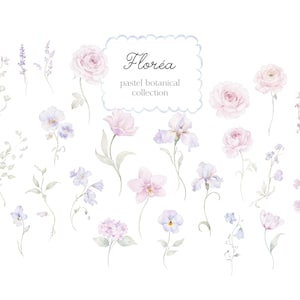 May include: Watercolor illustration of various pastel-colored flowers, including roses, irises, and lavender. The image features the text "Flor&eacute;a pastel botanical collection" in a decorative frame. The flowers are arranged on a white background.