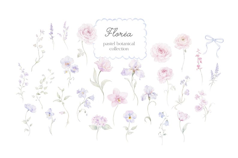 May include: Watercolor illustration of various pastel-colored flowers, including roses, irises, and lavender. The image features the text "Flor&eacute;a pastel botanical collection" in a decorative frame. The flowers are arranged on a white background.