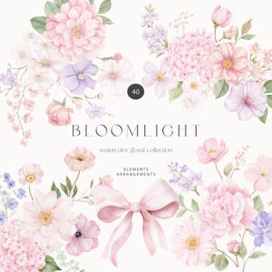 以下が含まれることがあります： ピンク、紫、白の色合いの花々が描かれた水彩画のフローラルコレクション。ピンクのリボンと「BLOOMLIGHT」と「watercolor floral collection」の文字が含まれています。