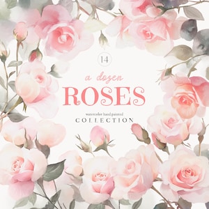 Clipart di rose acquerellate, fiori dipinti a mano, composizioni di rose rosa