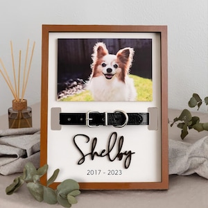 Custom Pet Memorial Frame, Dog Collar Keepsake Shadow Box with Photo and Name, Custom Loss of Pet Gift, Pet Remembrance Gift, Memorial Sign