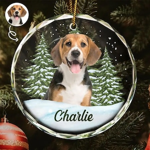 Custom Photo Pet Face Memorial, Christmas Gift For Dog Lovers, Cat Lovers, Pet Lovers, Personalized Glass Ornament, Tree Decoration with Pet