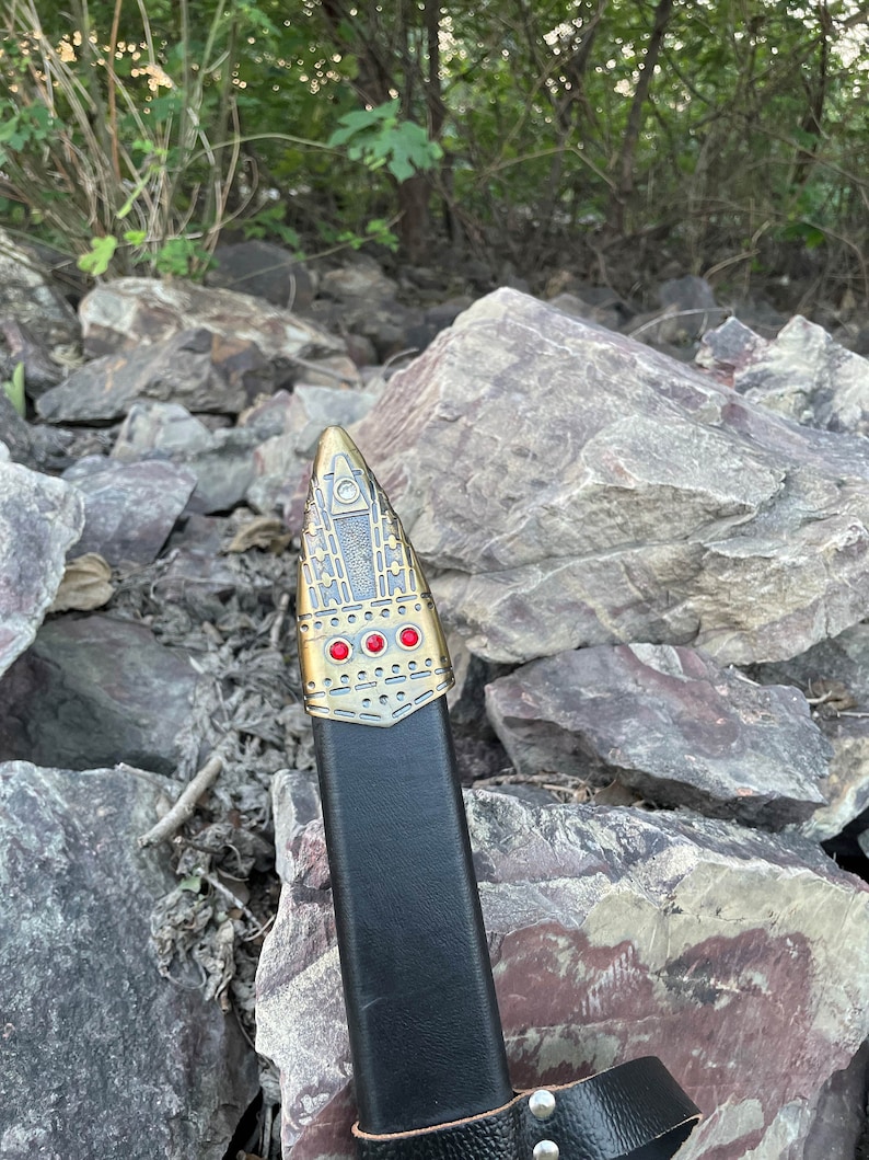 May include: Close-up of a sword scabbard with a gold-colored metal tip and red gemstones. The scabbard is made of black leather and has a decorative design.
