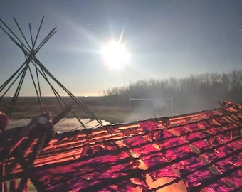 6 BARRAS DE PEMMICAN CASERAS paquete de seis