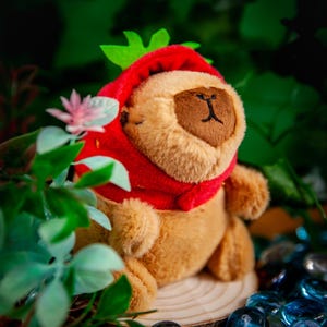 May include: A plush toy animal wearing a red hooded jacket. The toy is brown and has a small, round nose. The toy is sitting on a wooden surface with green plants in the background.