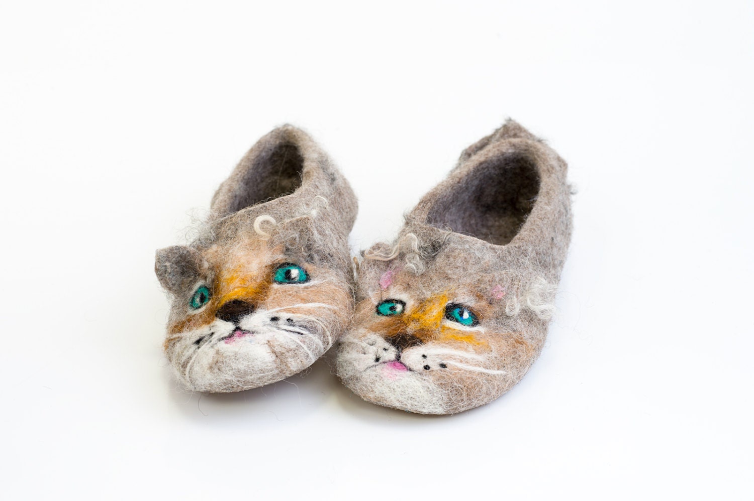 cat in slippers