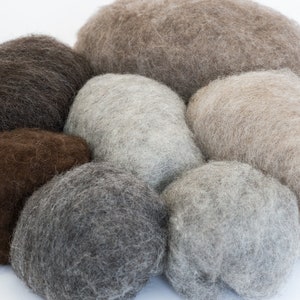 Natural Felting wool 200 gr - 7 oz Bergschaf Tyrollean Wool for wet felted slippers BureBure 6 Main Natural Wool Colors