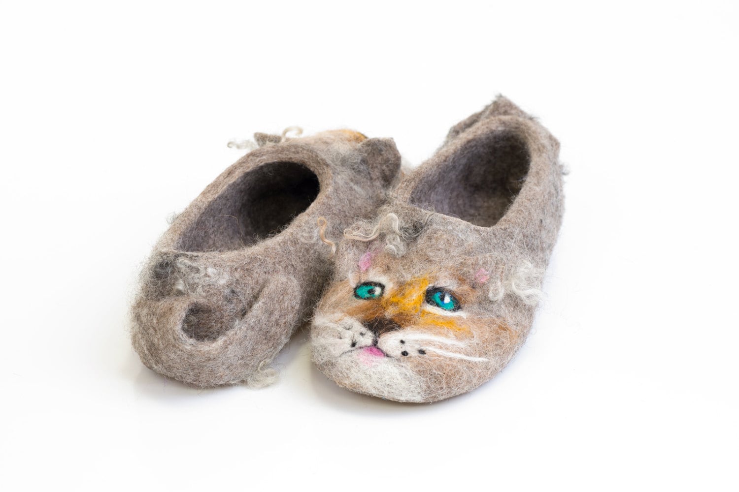 cat in slippers