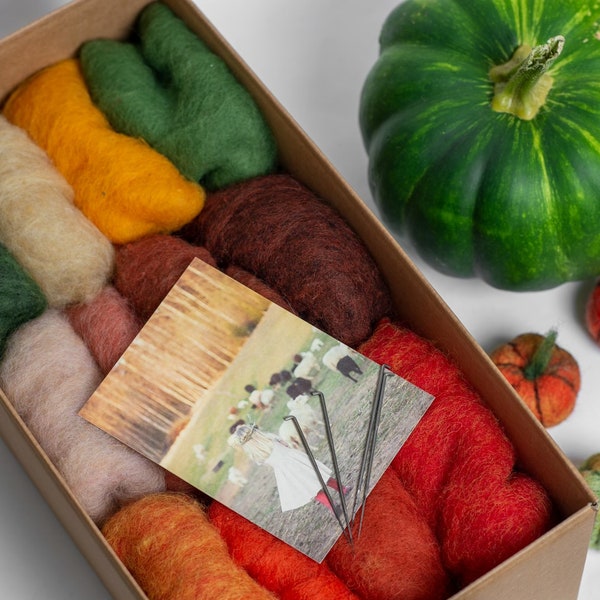 Wolle Kürbisse Filz Kit - 12 Farben Herbst Goods Bastelset - Nadelfilz Kit - Nassfilzen Starter Kit Plus Anleitung