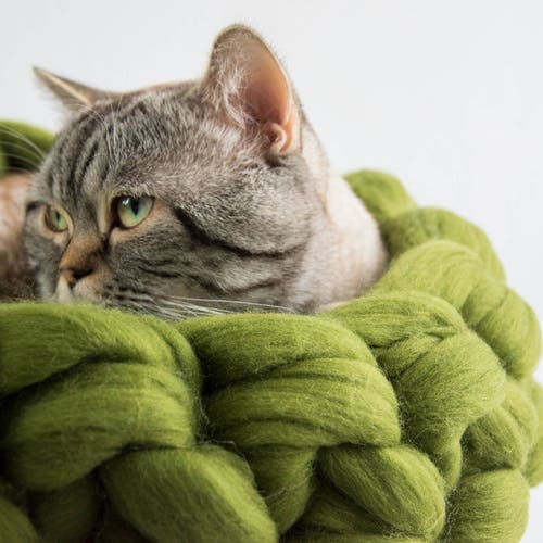 Flannel Cat Bed Monstera Plant Cat Bed Summer Cat Bed Etsy