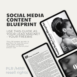 Social Media Content Blueprint, done for you, with MRR / PLR resell rights