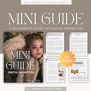 May include: A digital marketing mini guide with the text "MINI GUIDE" and "A beginner's guide to digital marketing". The guide includes information on earning online, picking a niche, and selling done-for-you products. The guide is 15 pages.