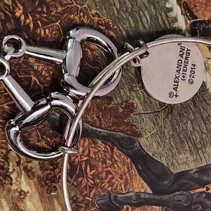 Alex and Ani Silver-Tone Horse Snaffle Bit Bangle | Equestrian Jewelry