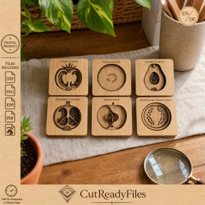 Puzzle de fruits SVG, fichier de découpe laser, anatomie du bois, jouet éducatif Montessori pour enfants, activité pour tout-petits