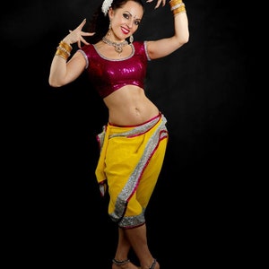 Bollywood Dance Chikni Chameli costume