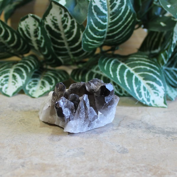 Small Smoky Quartz Cluster Metaphysical Crystals Birthday Gifts House Warming Gifts Reiki Stones New Age Crystals Gifts for Friends