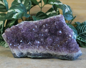 Brazilan Amethyst Geode Amethyst Crystal Trendy Office Decor Birthday Gifts Metaphysical Stones Chakra Crystals Anniversary Gifts