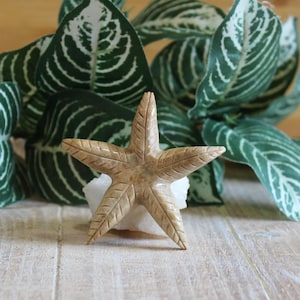 May include: A carved, tan-colored starfish sculpture with detailed grooves, resting on a white stone. The starfish is set against a backdrop of green and white striped leaves, creating a natural, coastal theme.