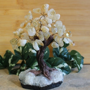 Citrine Gemstone Tree Trendy Office Decor Gifts for Home Wedding Gifts Rustic Rock Decor Birthday Gifts House Warming Gifts