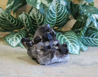 Smoky Quartz Crystal Cluster Metaphysical Stones Crystals for Home Birthday Gifts New Age Crystals Gifts for Friends Trendy Office Decor