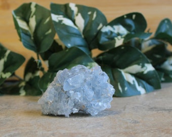 Celestite Crystal Cluster Gifts for Home Metaphysical Crystal Birthday Gifts Rock Home Decor Chakra Stones Altar Crystals Gifts for Friends