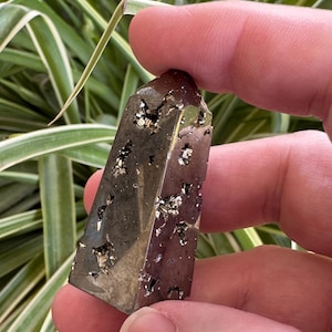 May include: A rectangular pyrite crystal, held between fingers, with a metallic luster and embedded golden flecks. The crystal is a dark, brownish-gray color and has a polished surface. The background features green and white striped leaves.
