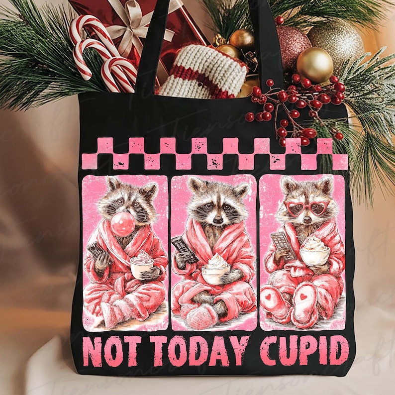 Not Today Cupid PNG, Snarky Raccoon Valentine's Day png, Sarcastic Valentines Day png, Sassy Humor Vday png, Sublimation, Digital Design image 4