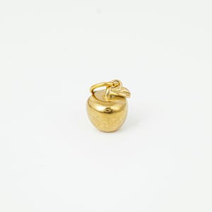 Puede incluir: Un pequeño dije de manzana de color dorado con un detalle de hoja. El dije tiene un lazo en la parte superior para sujetarlo a un collar o pulsera. La manzana es lisa y brillante, con una forma clásica de manzana.