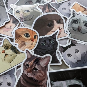 Stickers chats Meme dessinés numériquement (Pack aléatoire de 5 autocollants)