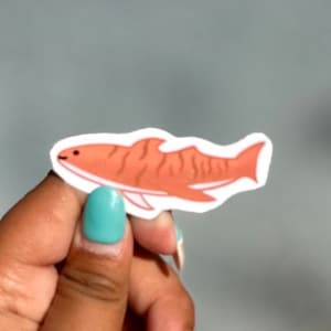 Tiger Shark Sticker | Vinyl Sticker | Water Resistant Laminated | Cute Animal Stickers | Water Bottle, Laptop, Notebook, Phone Sticker