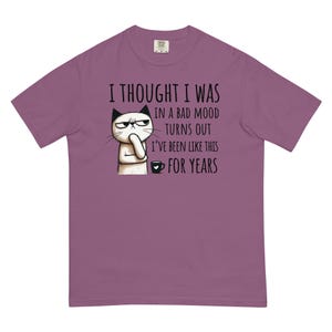 Funny Cat Meme Comfort Colors Shirt: Sarcastic Kitten Graphic Tee