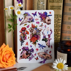 Adesivo Floral Folha Plantas Adesivo Presente Florista Flores Botânica Ossos de Animais Extintos Borboleta Papelaria Adesivo Flores Silvestres