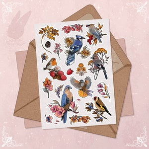 Adesivos de pássaros com flores, frutas vermelhas, papelaria para pássaros, adesivos de flores silvestres, flores comestíveis, botânica, adesivos de plantas, presente para florista