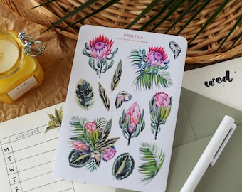 Protea Flower Sticker Sheet: Hand-Drawn Botanical Journal Stickers