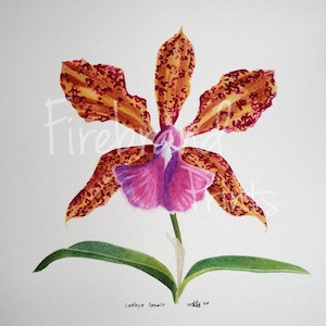 Pink Orchid Watercolor Painting | Floral Watercolor Giclée Print | Matted 16x20 Art Print | Large Wall Art