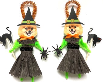 May include: Two brown and black witch costumes with a green bodice and a black hat. Each costume has a black cat and a spider attached. The costumes are made of paper and have a dog's face in the center.