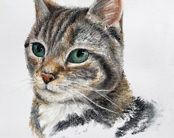 Custom Pet Drawings, Pet Portraits from Photos, Cat Pastels from Photos, Miniature Paintings, Illustrations
