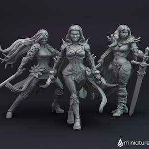 Female Fighters / Warriors / Heroes - miniaturen voor Dungeons & Dragons 5E, tabletop-RPG's, wargames en bordspellen