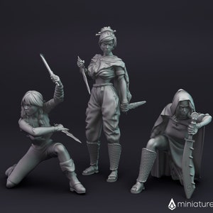 Female Assassins / Rogue / Thief - miniatures for Dungeons & Dragons 5E, tabletop RPG, wargames and board games