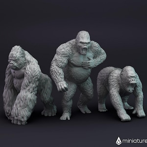 Op de afbeelding: Drie grijze gorilla-beeldjes, elk in een andere pose. De gorilla in het midden staat met gekruiste armen en open mond in een brul. De gorilla links staat met zijn armen langs zijn zijde en gesloten mond. De gorilla rechts staat met zijn armen langs zijn zijde en open mond in een brul.