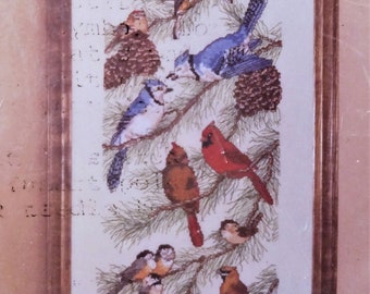 Rare Winter Birds Counted Cross Stitch Kit Kappie Originals Ltd 1275 1 7 Nature Ornithology Pine Tree Pinecone