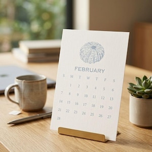 May include: A vertical desk calendar page for February featuring a light blue illustration of a sea urchin at the top. The calendar grid displays the days of the week and dates from 1 to 28 in a clean, sans-serif font on a textured white card.
