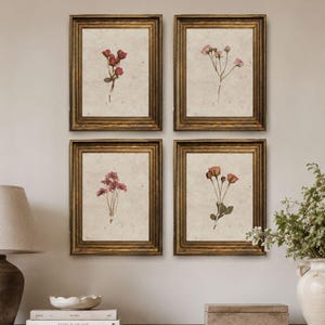 May include: A set of four rectangular wall frames with ornate gold-toned borders, each containing a botanical print on off-white paper. The prints feature individual illustrations of various pink and red flowers with green stems and leaves.